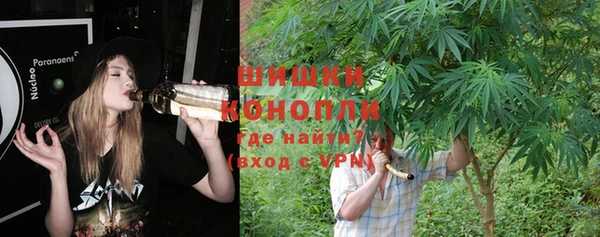 стаф Аркадак
