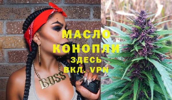 стаф Аркадак