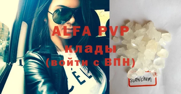 стаф Аркадак